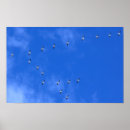 Search for migration posters Birds