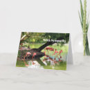 Search for flock of birds cards Pink