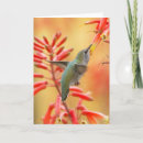 Search for hummingbird christmas cards Birder