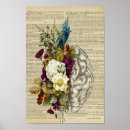 Search for brain anatomy posters Doctor