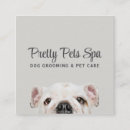 Search for dog daycare office school Grooming