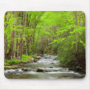 Search for smokey mountain mouse mats Tree