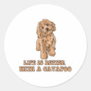 Search for cavapoo stickers Animal