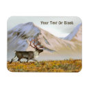 Search for brook magnets Wildlife