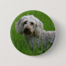 Search for on a wire badges Canine photographer