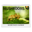 Search for mushroom calendars Photography