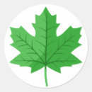 Search for maple stickers Canadian