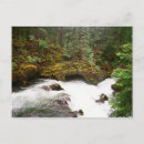 Search for tubes postcards Water
