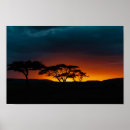 Search for serengeti posters Sunset