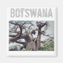 Search for baobab tree Travel