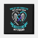 Search for suicide magnets Teal