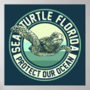 Search for sea turtle posters Green