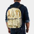 Search for squid accessories Marine life