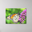 Search for danaus posters Orange