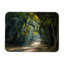 Search for row magnets Tropical
