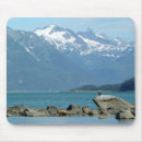 Search for alaska eagle mouse mats Nature