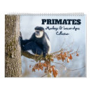Search for primates calendars Baby