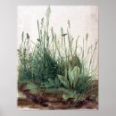 Search for dandelion posters Grass