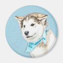 Search for husky magnets Chukcha