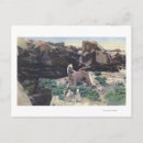 Search for stallions postcards Wyoming