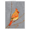 Search for cardinal vertical note cards Winter