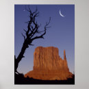 Search for back lit art Photography