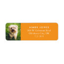 Search for with photo return address labels White
