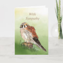 Search for kestrel cards Hawk
