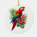 Search for macaw christmas tree decorations Nature