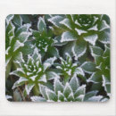 Search for freeze mouse mats Freezing