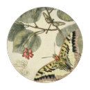 Search for dragonfly cookware Cream