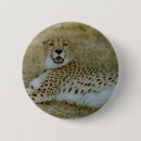 Search for cheetahs badges Nature