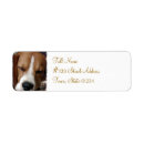 Search for beagles return address labels Canine