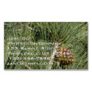 Search for closeup business cards Nature