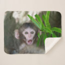 Search for monkey blankets Japanese macaque