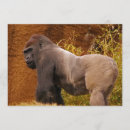 Search for ap 5x7 invitations Wildlife
