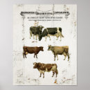Search for vintage milk posters Cow