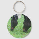 Search for grazing key rings Animal