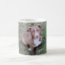 Search for pitbulls mugs Red