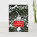 Search for blue jay christmas cards Wildlife