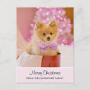 Search for cute little dog postcards Pet