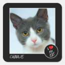 Search for my pet stickers I love my cat