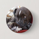 Search for pitbuls badges Dog