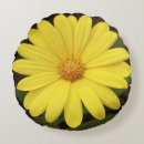 Search for daisy like Yellow