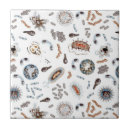 Search for biology tiles Nurse