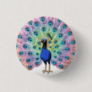 Search for peacock badges Nature