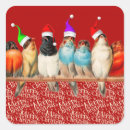 Search for birds with hats stickers Blue