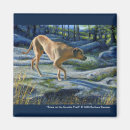 Search for granite magnets Nature