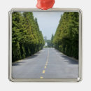 Search for treelined Road