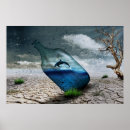 Search for orca photography Nature